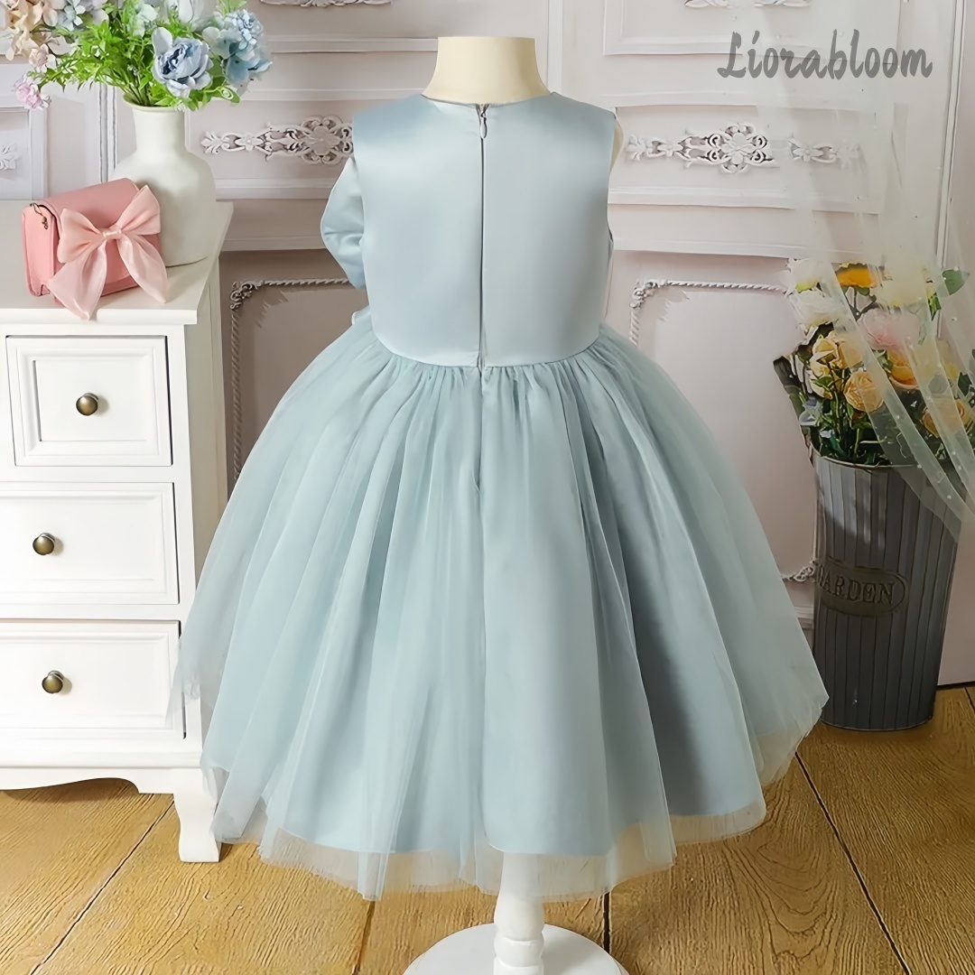 Blue Children's Evening Gown F - Large Women'S Formal Wear 评论和价格