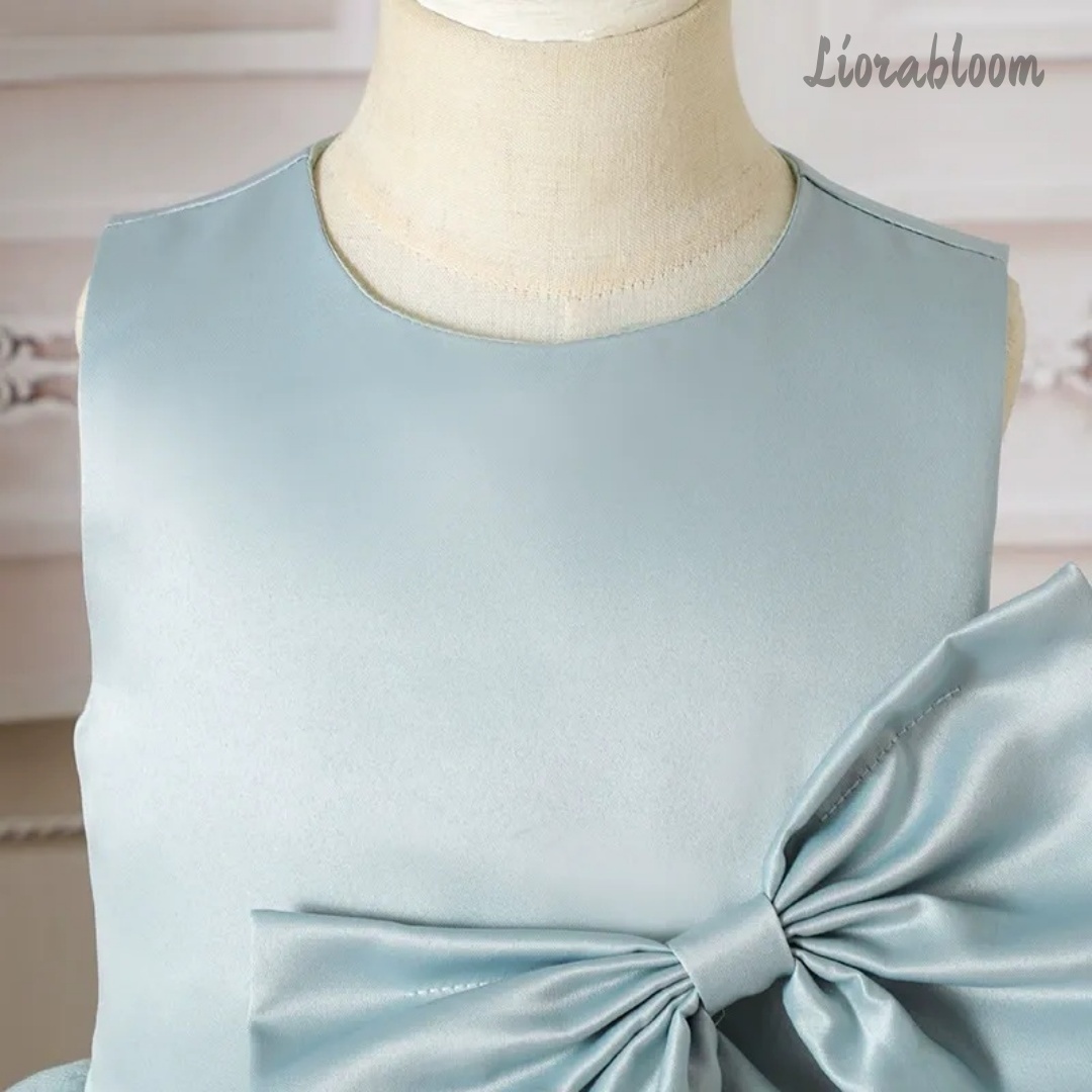 Blue Children's Evening Gown F - Large Women'S Formal Wear 评论和价格